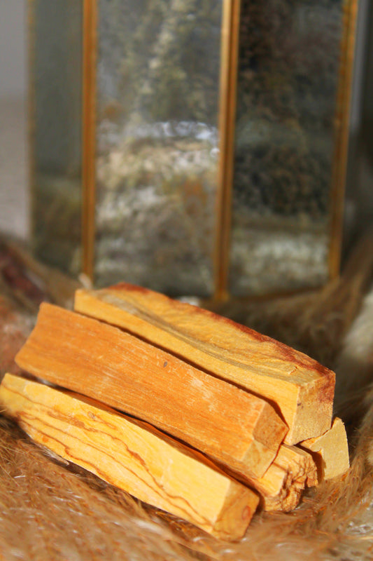 Palo Santo Sticks (3 Pack)